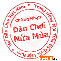 Viết hoa chữ \