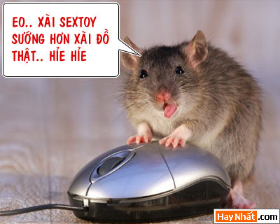 16+, 13+, 18+, Động vật, Chuyện ấy, Khỉ, Gà, Bò, Chó, Nhím, Lợn, Heo, Chuột, ếch,  Chuyện ấy, Bình luận vui