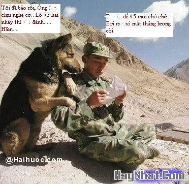 Hình Hài Hước, Ảnh cười, Ảnh vui, funny photo, Hình ảnh vui, Hình cười bể bụng, Hình vui, Tranh hài hước, tranh vui, Tranh vui hài hước, Tranh vui Hội quán cười, Tranh vui nước ngoài