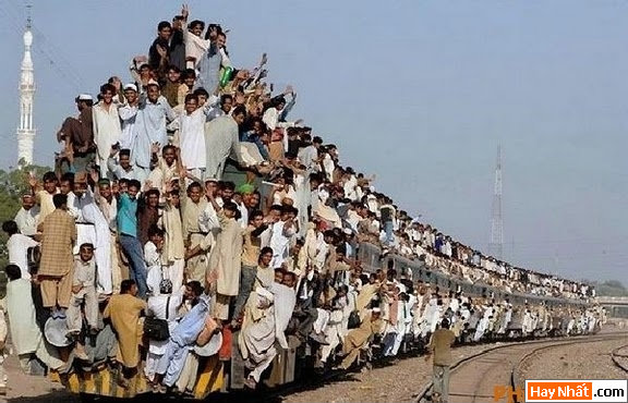 Giao thông, Tàu lửa, Xe, Xe máy, Biển số, Nón Bảo Hiểm, Áo Ngực, Sáng Tạo, Thầy Tu, Sư Sãi