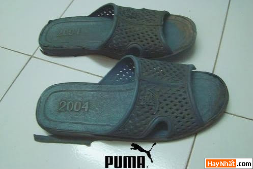 Dép, Giày dép, Hàng hiệu, Gucci, Puma, Adidasa,Dr.Martens,Converse, Hài hước