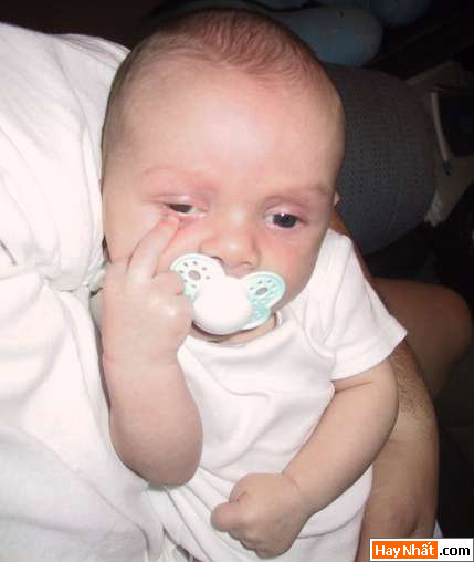 Vui nhất, Vui nhat, Hình vui, Hinh Vui, Ảnh vui, Anh vui, Hình ảnh vui, Hinh anh vui, Anh vui nhat, Ảnh vui nhất, Hinh vui nhat, Hình vui nhất, Funny Photo