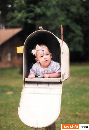 Vui nhất, Vui nhat, Hình vui, Hinh Vui, Ảnh vui, Anh vui, Hình ảnh vui, Hinh anh vui, Anh vui nhat, Ảnh vui nhất, Hinh vui nhat, Hình vui nhất, Funny Photo