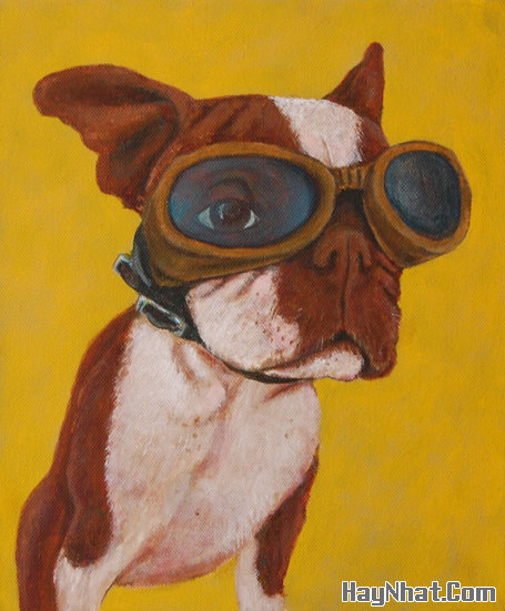 Hình Hài Hước, Ảnh cười, Ảnh vui, funny photo, Hình ảnh vui, Hình cười bể bụng, Hình vui, Tranh hài hước, tranh vui, Tranh vui hài hước, Tranh vui Hội quán cười, Tranh vui nước ngoài