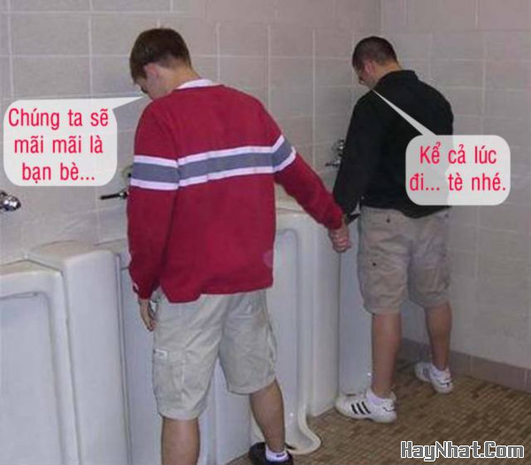 Ảnh cười, Ảnh vui, funny photo, Hình ảnh vui, Hình cười bể bụng, Hình Hài Hước, Hình vui, Tranh hài hước, tranh vui, Tranh vui hài hước, Tranh vui Hội quán cười, Tranh vui nước ngoài