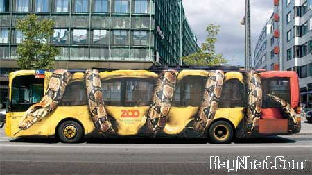 Ảnh cười, Ảnh vui, funny photo, Hình ảnh vui, Hình cười bể bụng, Hình Hài Hước, Hình vui, Tranh hài hước, tranh vui, Tranh vui hài hước, Tranh vui Hội quán cười, Tranh vui nước ngoài