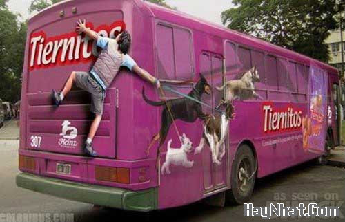 Ảnh cười, Ảnh vui, funny photo, Hình ảnh vui, Hình cười bể bụng, Hình Hài Hước, Hình vui, Tranh hài hước, tranh vui, Tranh vui hài hước, Tranh vui Hội quán cười, Tranh vui nước ngoài