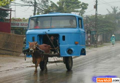 Giao thông, Tàu lửa, Xe, Xe máy, Biển số, Nón Bảo Hiểm, Áo Ngực, Sáng Tạo, Thầy Tu, Sư Sãi