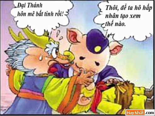 tay du ky, tay du ky hai, ton ngo khong, hot girl, hong hai nhi, bat gioi, su phu, truyen cuoi, truyen hai