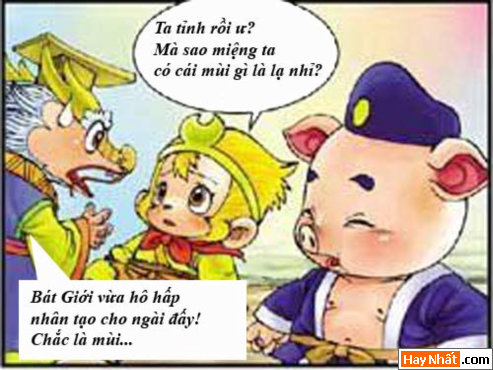 tay du ky, tay du ky hai, ton ngo khong, hot girl, hong hai nhi, bat gioi, su phu, truyen cuoi, truyen hai