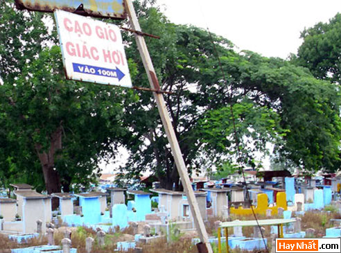 Vui nhất, Vui nhat, Hình vui, Hinh Vui, Ảnh vui, Anh vui, Hình ảnh vui, Hinh anh vui, Anh vui nhat, Ảnh vui nhất, Hinh vui nhat, Hình vui nhất, Funny Photo