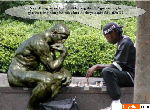 Vui nhất, Vui nhat, Hình vui, Hinh Vui, Ảnh vui, Anh vui, Hình ảnh vui, Hinh anh vui, Anh vui nhat, Ảnh vui nhất, Hinh vui nhat, Hình vui nhất, Funny Photo