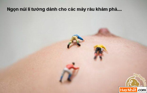 Vui nhất, Vui nhat, Hình vui, Hinh Vui, Ảnh vui, Anh vui, Hình ảnh vui, Hinh anh vui, Anh vui nhat, Ảnh vui nhất, Hinh vui nhat, Hình vui nhất, Funny Photo