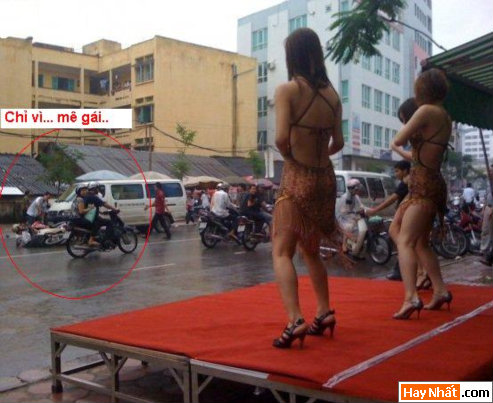 VUI NHẤT, VUI NHAT, HÌNH VUI, HINH VUI, ẢNH VUI, ANH VUI, HÌNH ẢNH VUI, HINH ANH VUI, ANH VUI NHAT, ẢNH VUI NHẤT, HINH VUI NHAT, HÌNH VUI NHẤT, FUNNY PHOTO