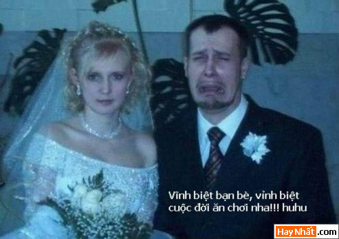 Vui nhất, Vui nhat, Hình vui, Hinh Vui, Ảnh vui, Anh vui, Hình ảnh vui, Hinh anh vui, Anh vui nhat, Ảnh vui nhất, Hinh vui nhat, Hình vui nhất, Funny Photo