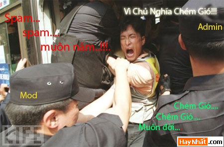 Vui nhất, Vui nhat, Hình vui, Hinh Vui, Ảnh vui, Anh vui, Hình ảnh vui, Hinh anh vui, Anh vui nhat, Ảnh vui nhất, Hinh vui nhat, Hình vui nhất, Funny Photo