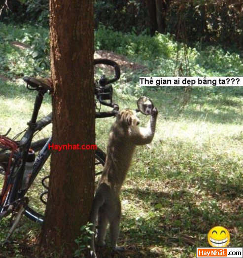 Vui nhất, Vui nhat, Hình vui, Hinh Vui, Ảnh vui, Anh vui, Hình ảnh vui, Hinh anh vui, Anh vui nhat, Ảnh vui nhất, Hinh vui nhat, Hình vui nhất, Funny Photo