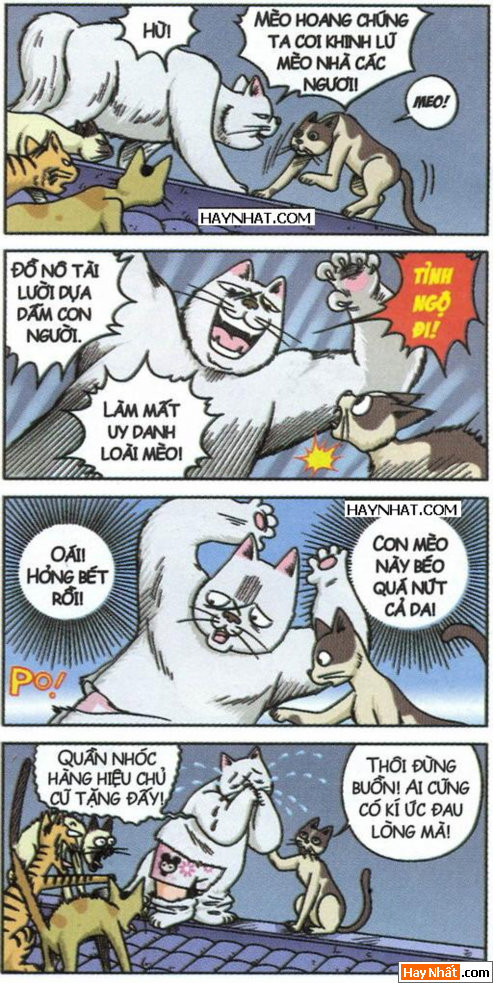 Ô long viện: Mèo lộ hàng