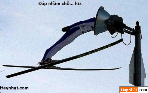 Vui nhất, Vui nhat, Hình vui, Hinh Vui, Ảnh vui, Anh vui, Hình ảnh vui, Hinh anh vui, Anh vui nhat, Ảnh vui nhất, Hinh vui nhat, Hình vui nhất, Funny Photo