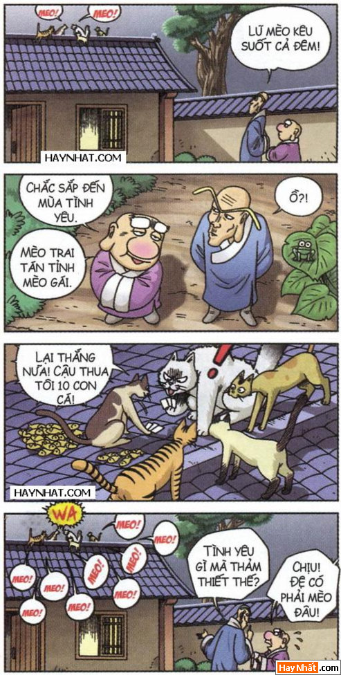 Ô long viện: Tình yêu của mèo