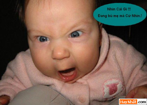 Vui nhất, Vui nhat, Hình vui, Hinh Vui, Ảnh vui, Anh vui, Hình ảnh vui, Hinh anh vui, Anh vui nhat, Ảnh vui nhất, Hinh vui nhat, Hình vui nhất, Funny Photo