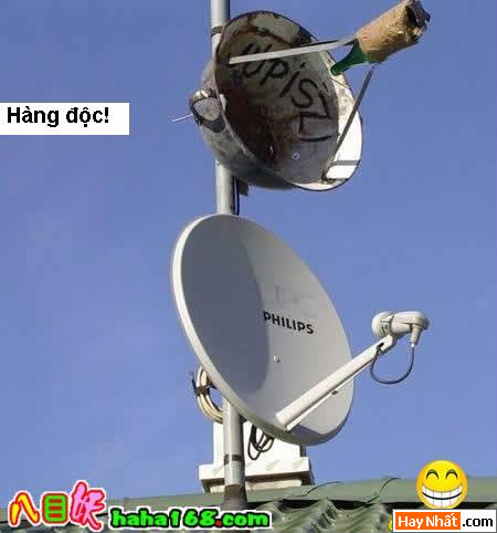 Vui nhất, Vui nhat, Hình vui, Hinh Vui, Ảnh vui, Anh vui, Hình ảnh vui, Hinh anh vui, Anh vui nhat, Ảnh vui nhất, Hinh vui nhat, Hình vui nhất, Funny Photo