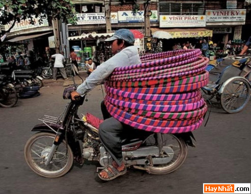 Vui nhất, Vui nhat, Hình vui, Hinh Vui, Ảnh vui, Anh vui, Hình ảnh vui, Hinh anh vui, Anh vui nhat, Ảnh vui nhất, Hinh vui nhat, Hình vui nhất, Funny Photo