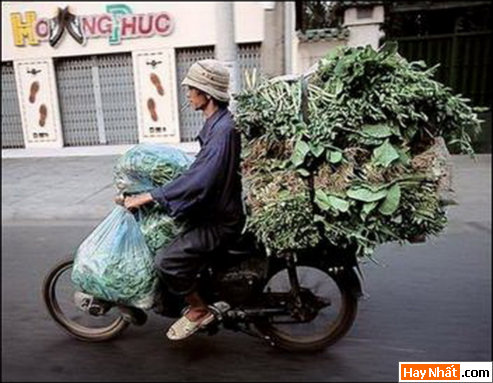 Vui nhất, Vui nhat, Hình vui, Hinh Vui, Ảnh vui, Anh vui, Hình ảnh vui, Hinh anh vui, Anh vui nhat, Ảnh vui nhất, Hinh vui nhat, Hình vui nhất, Funny Photo