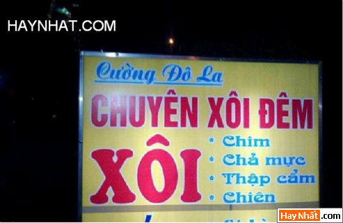 VUI NHẤT, VUI NHAT, HÌNH VUI, HINH VUI, ẢNH VUI, ANH VUI, HÌNH ẢNH VUI, HINH ANH VUI, ANH VUI NHAT, ẢNH VUI NHẤT, HINH VUI NHAT, HÌNH VUI NHẤT, FUNNY PHOTO