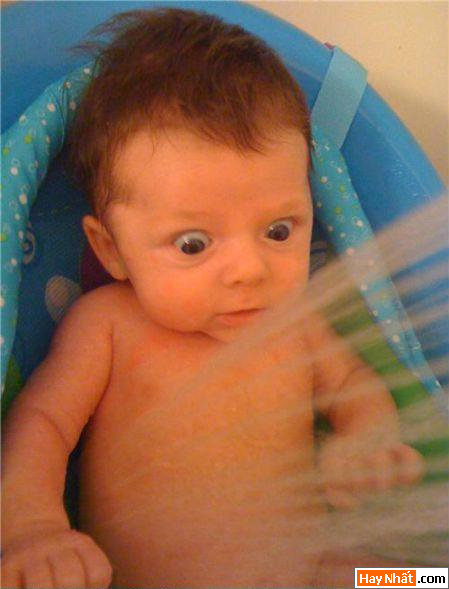 Vui nhất, Vui nhat, Hình vui, Hinh Vui, Ảnh vui, Anh vui, Hình ảnh vui, Hinh anh vui, Anh vui nhat, Ảnh vui nhất, Hinh vui nhat, Hình vui nhất, Funny Photo