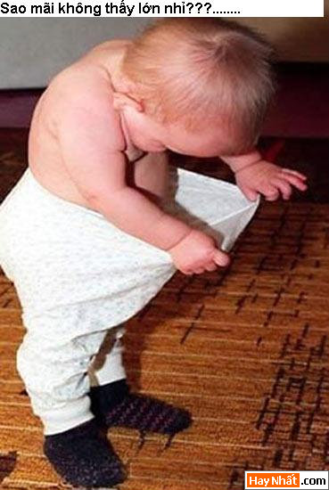 Vui nhất, Vui nhat, Hình vui, Hinh Vui, Ảnh vui, Anh vui, Hình ảnh vui, Hinh anh vui, Anh vui nhat, Ảnh vui nhất, Hinh vui nhat, Hình vui nhất, Funny Photo