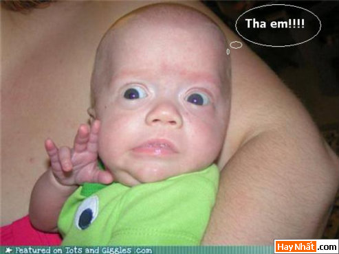 Vui nhất, Vui nhat, Hình vui, Hinh Vui, Ảnh vui, Anh vui, Hình ảnh vui, Hinh anh vui, Anh vui nhat, Ảnh vui nhất, Hinh vui nhat, Hình vui nhất, Funny Photo