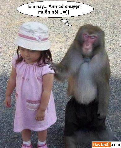 Vui nhất, Vui nhat, Hình vui, Hinh Vui, Ảnh vui, Anh vui, Hình ảnh vui, Hinh anh vui, Anh vui nhat, Ảnh vui nhất, Hinh vui nhat, Hình vui nhất, Funny Photo