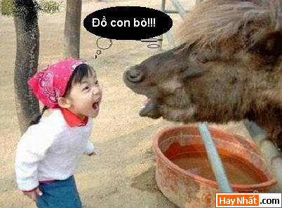 Vui nhất, Vui nhat, Hình vui, Hinh Vui, Ảnh vui, Anh vui, Hình ảnh vui, Hinh anh vui, Anh vui nhat, Ảnh vui nhất, Hinh vui nhat, Hình vui nhất, Funny Photo