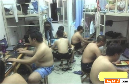 Vui nhất, Vui nhat, Hình vui, Hinh Vui, Ảnh vui, Anh vui, Hình ảnh vui, Hinh anh vui, Anh vui nhat, Ảnh vui nhất, Hinh vui nhat, Hình vui nhất, Funny Photo