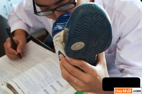 Vui nhất, Vui nhat, Hình vui, Hinh Vui, Ảnh vui, Anh vui, Hình ảnh vui, Hinh anh vui, Anh vui nhat, Ảnh vui nhất, Hinh vui nhat, Hình vui nhất, Funny Photo