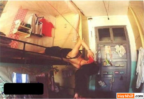 Vui nhất, Vui nhat, Hình vui, Hinh Vui, Ảnh vui, Anh vui, Hình ảnh vui, Hinh anh vui, Anh vui nhat, Ảnh vui nhất, Hinh vui nhat, Hình vui nhất, Funny Photo