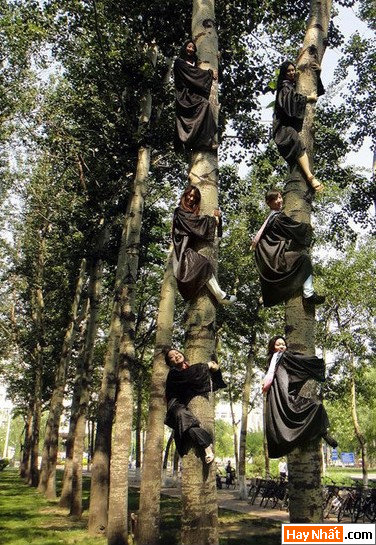 Vui nhất, Vui nhat, Hình vui, Hinh Vui, Ảnh vui, Anh vui, Hình ảnh vui, Hinh anh vui, Anh vui nhat, Ảnh vui nhất, Hinh vui nhat, Hình vui nhất, Funny Photo