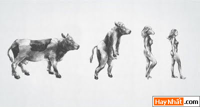 Sự tiến hóa của loài người qua các thời kỳ 30