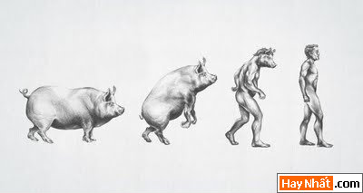 Sự tiến hóa của loài người qua các thời kỳ 29