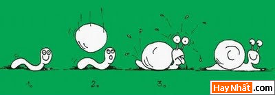 Sự tiến hóa của loài người qua các thời kỳ 29