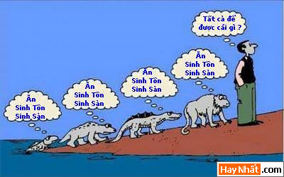 Sự tiến hóa của loài người qua các thời kỳ 34