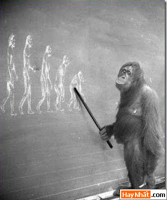 Sự tiến hóa của loài người qua các thời kỳ 33