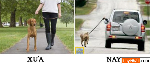 VUI NHáº¤T, VUI NHAT, HÃŒNH VUI, HINH VUI, áº¢NH VUI, ANH VUI, HÃŒNH áº¢NH VUI, HINH ANH VUI, ANH VUI NHAT, áº¢NH VUI NHáº¤T, HINH VUI NHAT, HÃŒNH VUI NHáº¤T, FUNNY PHOTO