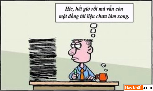 Không cần làm thêm