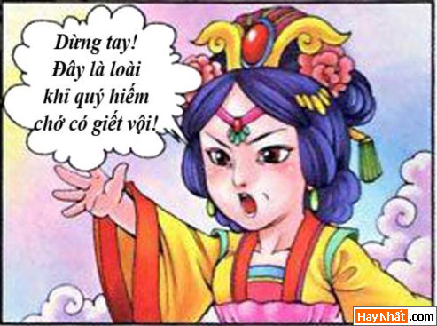 tay du ky hai, tay du ky, dai nao thien cung, ton ngo khong, ba la sat, nguu ma vuong, bat gioi, su phu, truyen cuoi, truyen hai