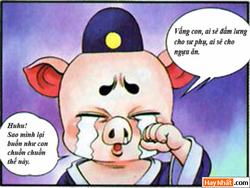  tay du ky hai, tay du ky, ton ngo khong, tay truc, tet, tan mao, tay truc, bat gioi, su phu, truyen cuoi, truyen hai