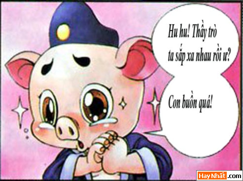  tay du ky hai, tay du ky, ton ngo khong, tay truc, tet, tan mao, tay truc, bat gioi, su phu, truyen cuoi, truyen hai