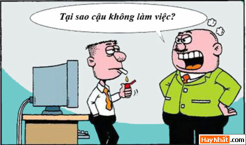 Sếp thông minh quá