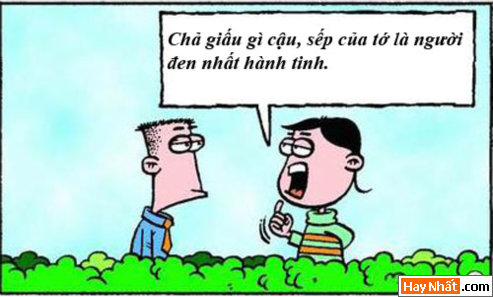 Nói thật không tin